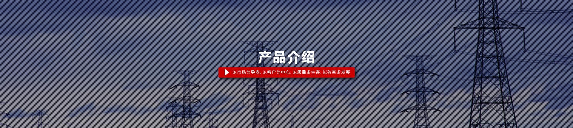 交联聚乙烯绝缘电力电缆